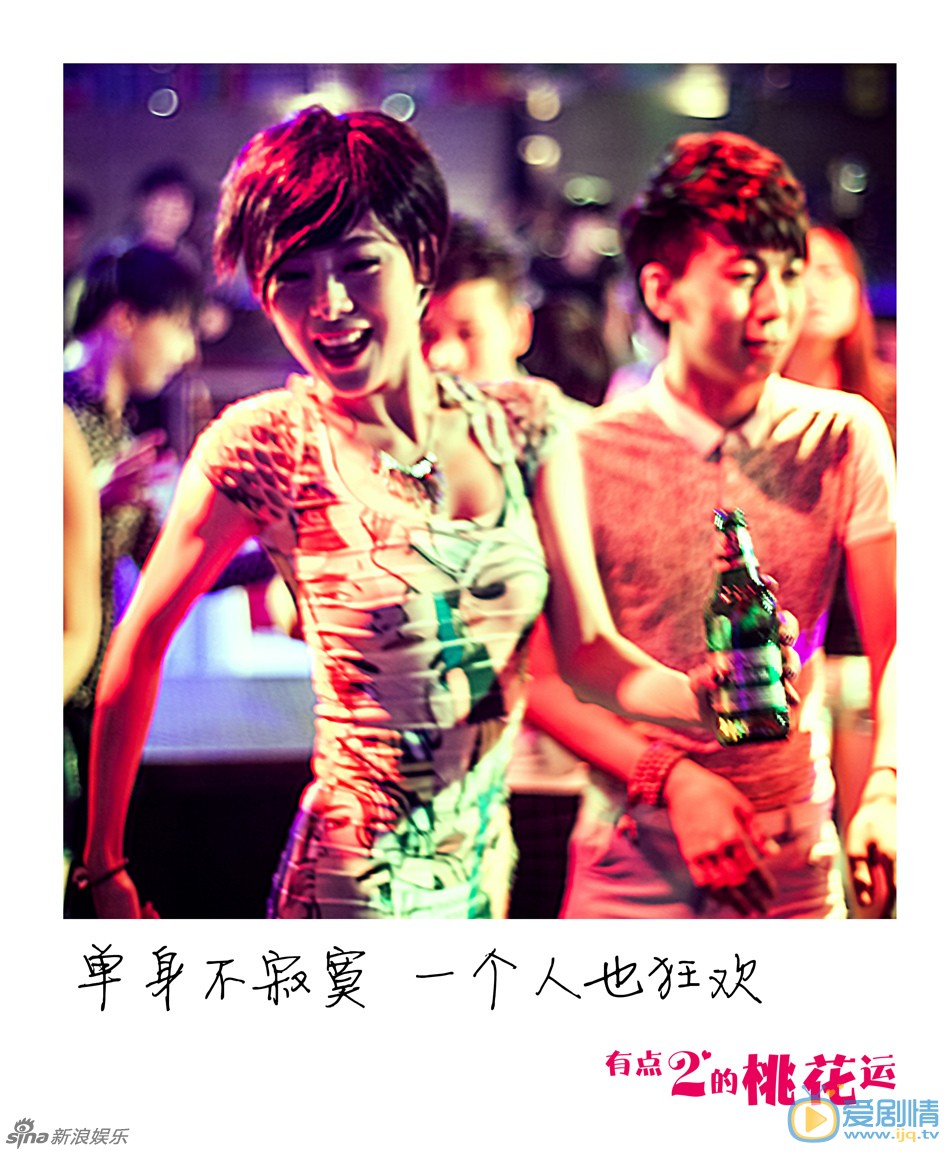 电视剧有点二的桃花运海报