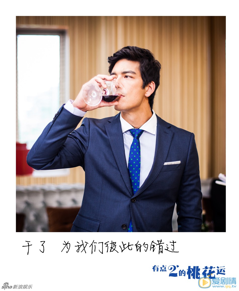 电视剧有点二的桃花运海报