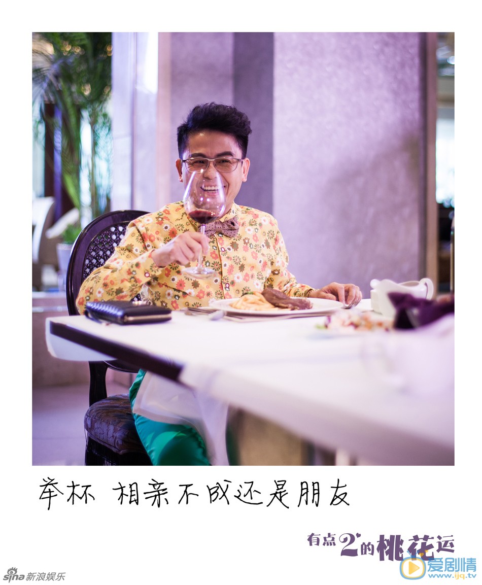 电视剧有点二的桃花运海报
