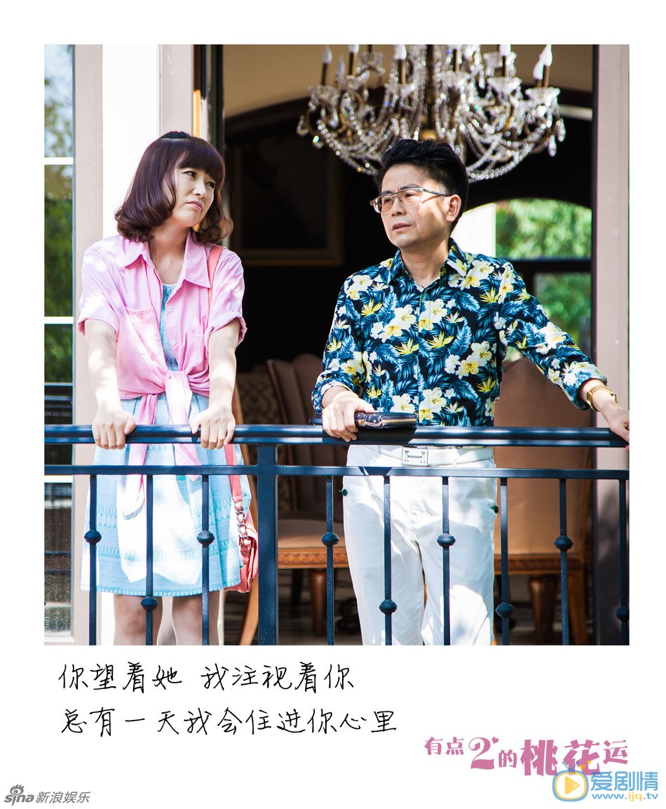 电视剧有点二的桃花运海报