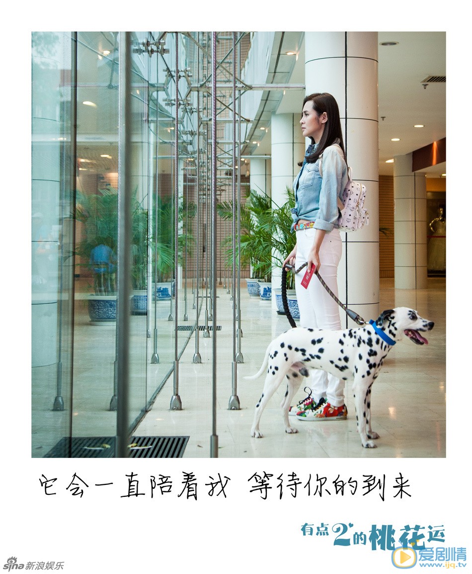 电视剧有点二的桃花运海报