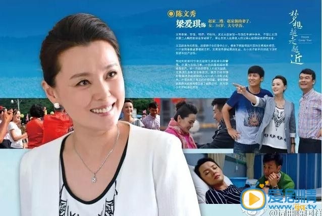 电视剧梦想越走越近海报