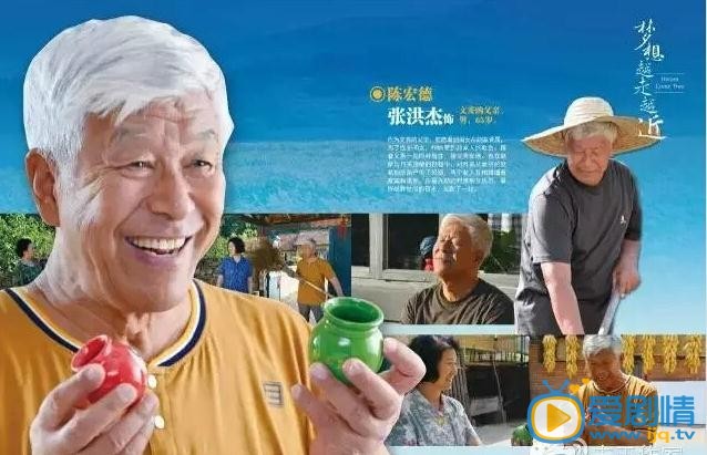 电视剧梦想越走越近海报