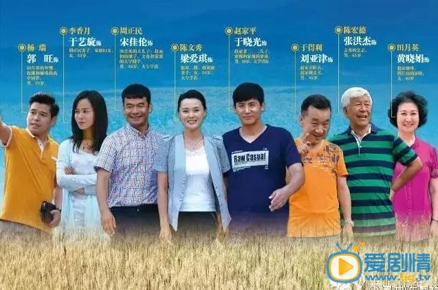 电视剧梦想越走越近海报