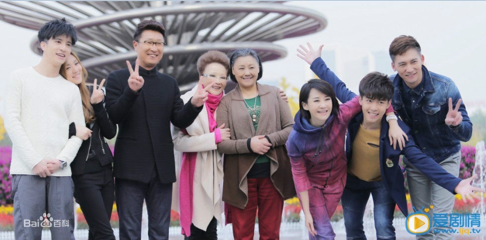 电视剧妈妈像花儿一样剧照