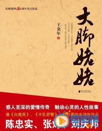 电视剧大脚姥姥海报