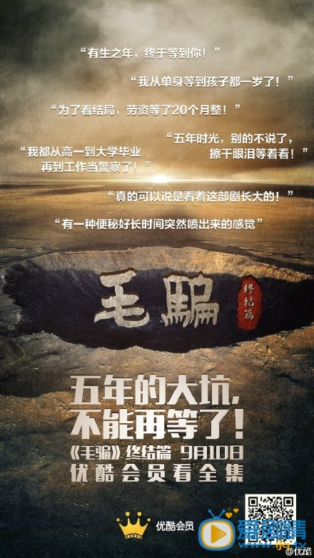电视剧毛骗终结篇海报