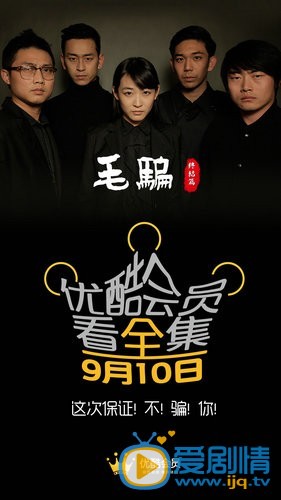 电视剧毛骗终结篇海报