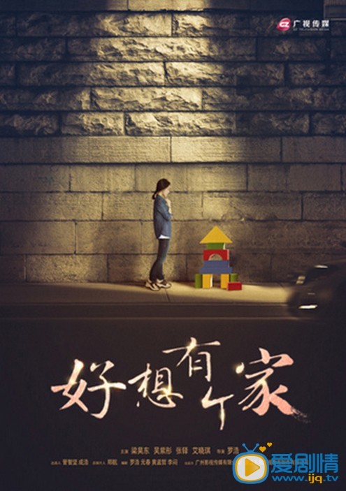电视剧好想有个家海报
