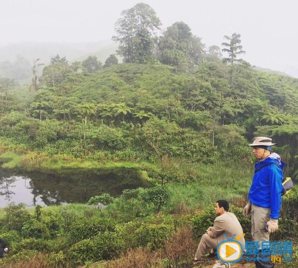 电影湄公河行动剧照