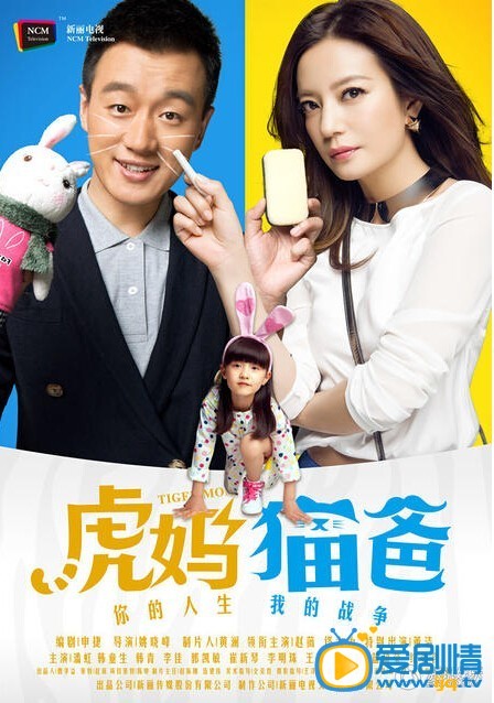 电视剧虎妈猫爸海报