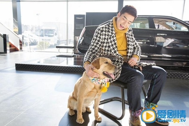 电视剧神犬小七剧照
