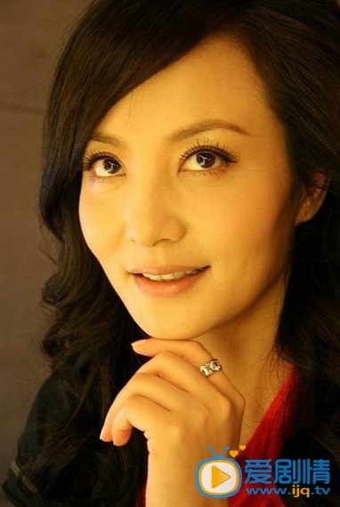 电视剧家有大姐剧照