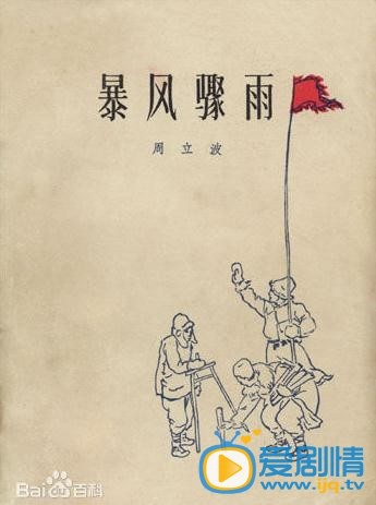 电视剧暴风骤雨海报