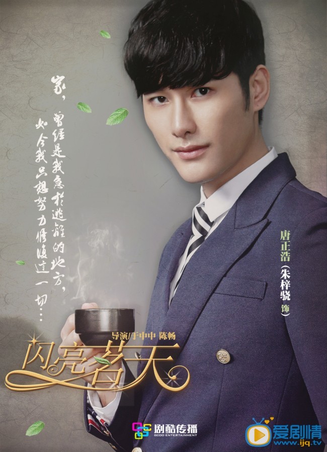 电视剧闪亮茗天海报