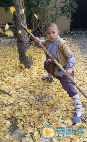 电视剧少林小子方世玉剧照