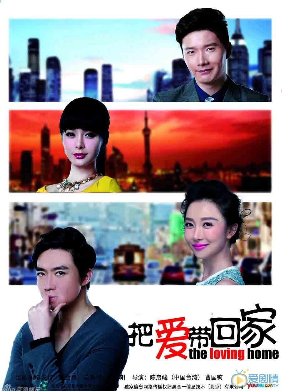 电视剧把爱带回家海报