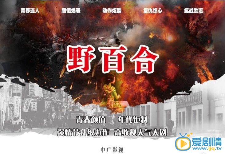 野百合什么时候播 野百合播出时间