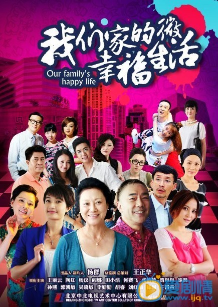 电视剧我们家的微幸福生活海报
