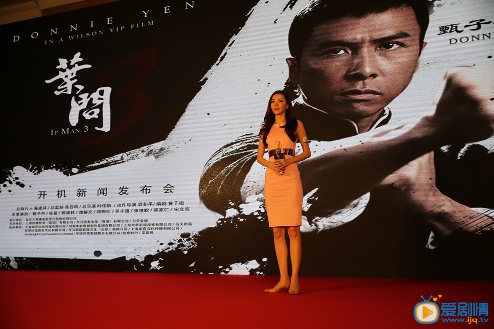叶问3什么时候上映 叶问3上映时间