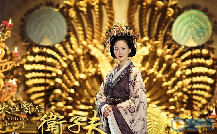 电视剧卫子夫海报