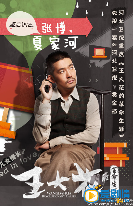 电视剧王大花的革命生涯海报