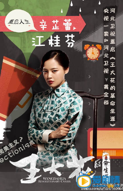 电视剧王大花的革命生涯海报