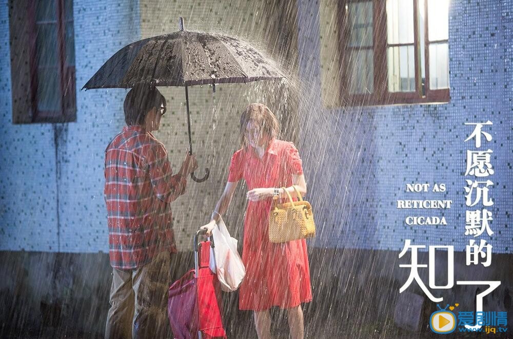 电影不愿沉默的知了剧照