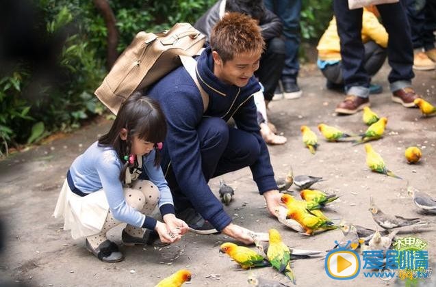 电影爸爸去哪儿剧照