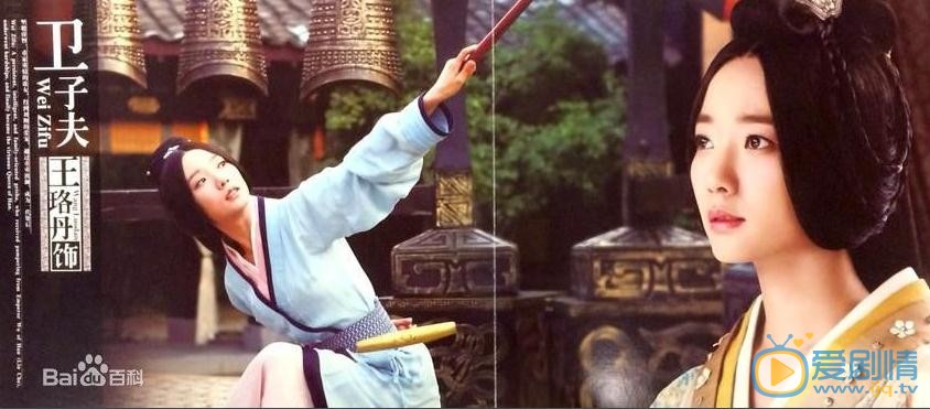 电视剧卫子夫海报
