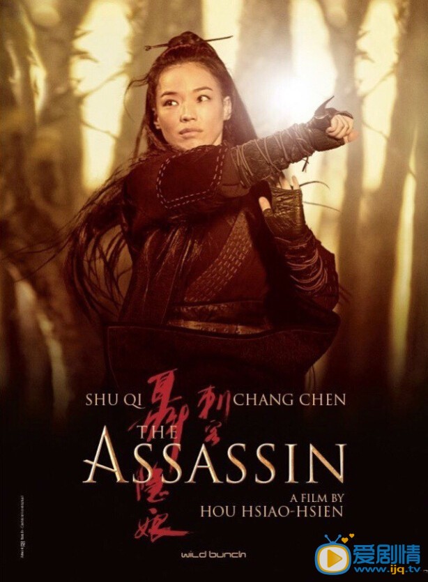 刺客聂隐娘什么时候上映 刺客聂隐娘上映时间