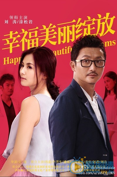 电视剧幸福美丽绽放海报