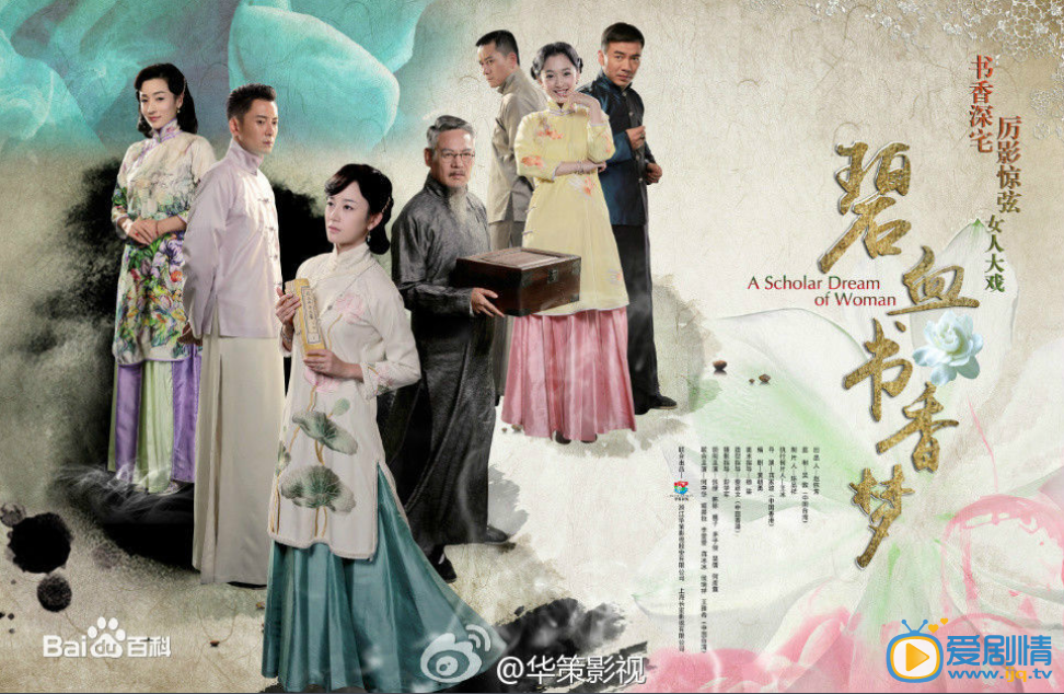 电视剧碧血书香梦海报