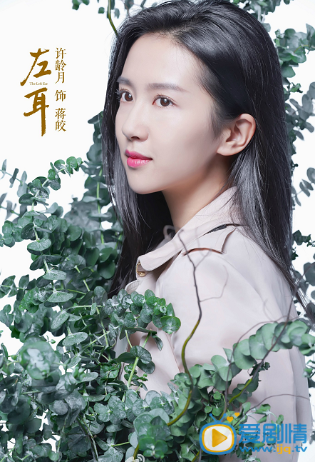 电影左耳海报