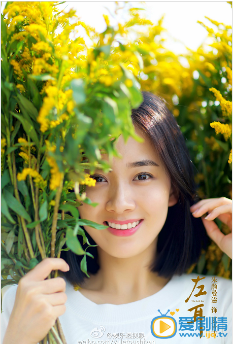 电影左耳海报