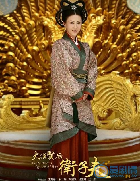 电视剧卫子夫海报