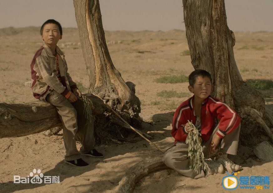 电影家在水草丰茂的地方剧照