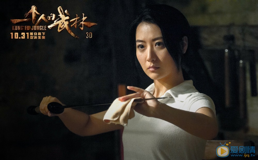 电影一个人的武林剧照