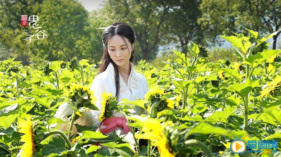 电视剧谋圣鬼谷子剧照