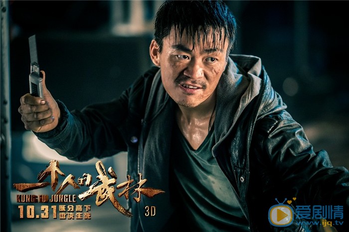 电影一个人的武林剧照