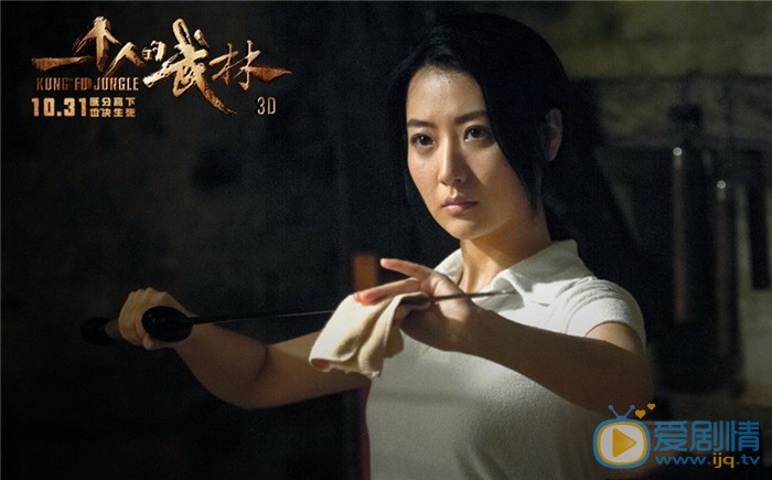 电影一个人的武林剧照
