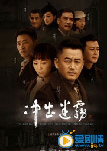 电视剧冲出迷雾海报