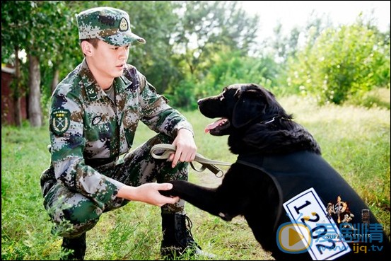 电视剧神犬奇兵剧照