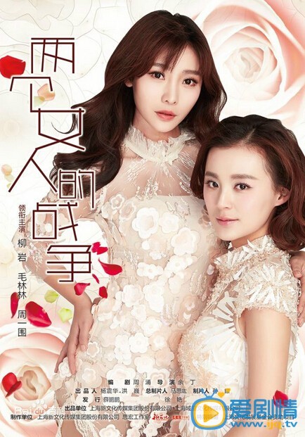 电视剧两个女人的战争海报