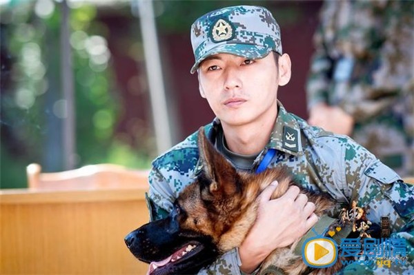 电视剧神犬奇兵剧照