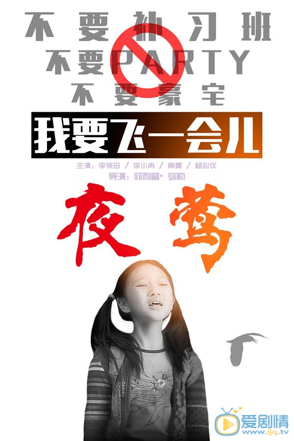 电影夜莺海报