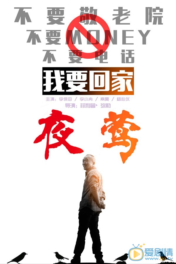 电影夜莺海报