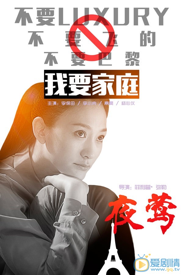 电影夜莺海报