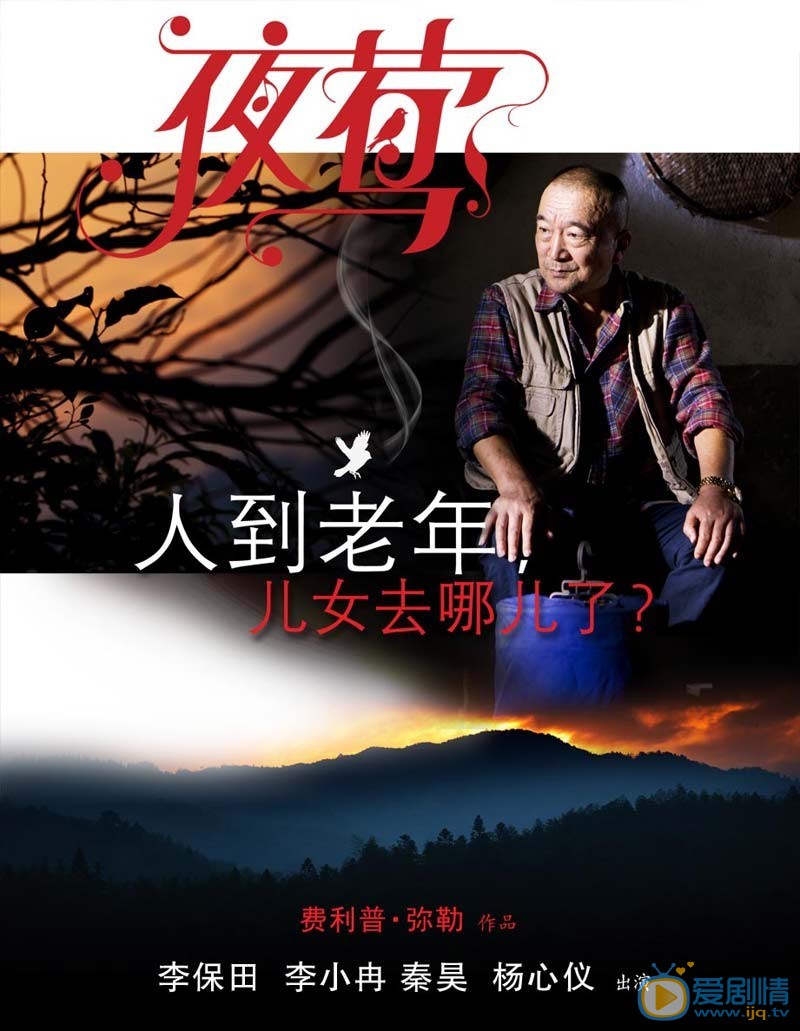 电影夜莺海报