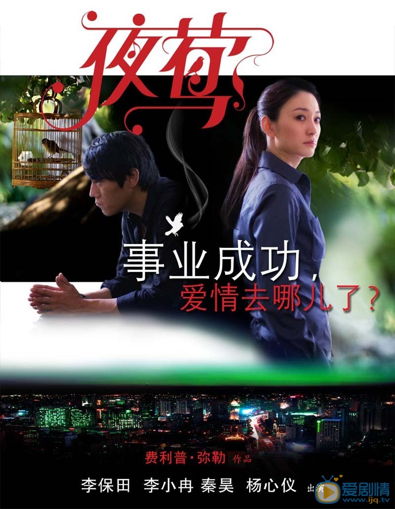 电影夜莺海报
